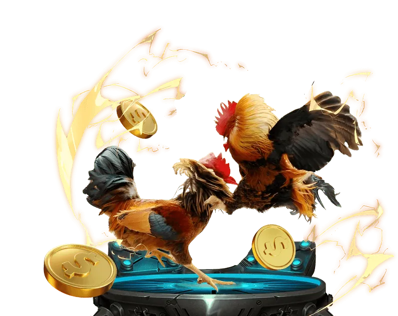 Hướng dẫn chi tiết nêw88